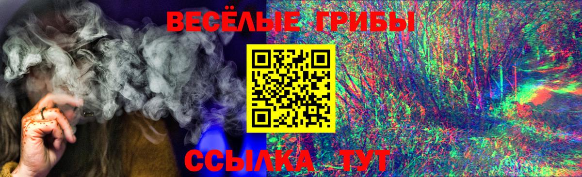 Галлюциногенные грибы Psilocybine cubensis  Вход с VPN  Кизляр  Псилоцибиновые грибы GOLDEN TEACHER 